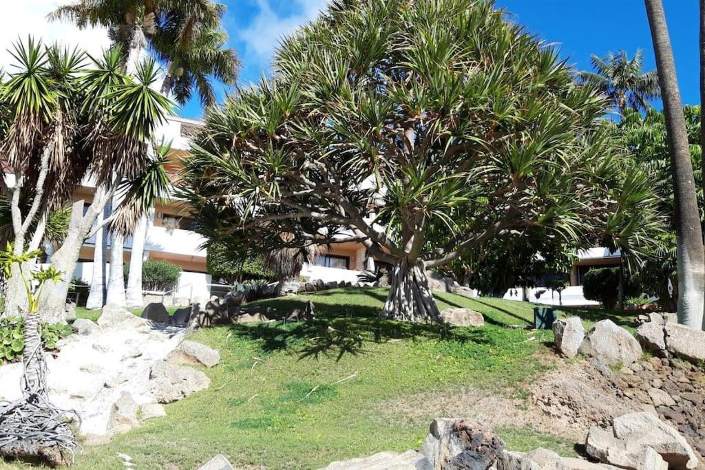Apartment With Pool And Gardens Near The Coast San Miguel de Abona Zewnętrze zdjęcie