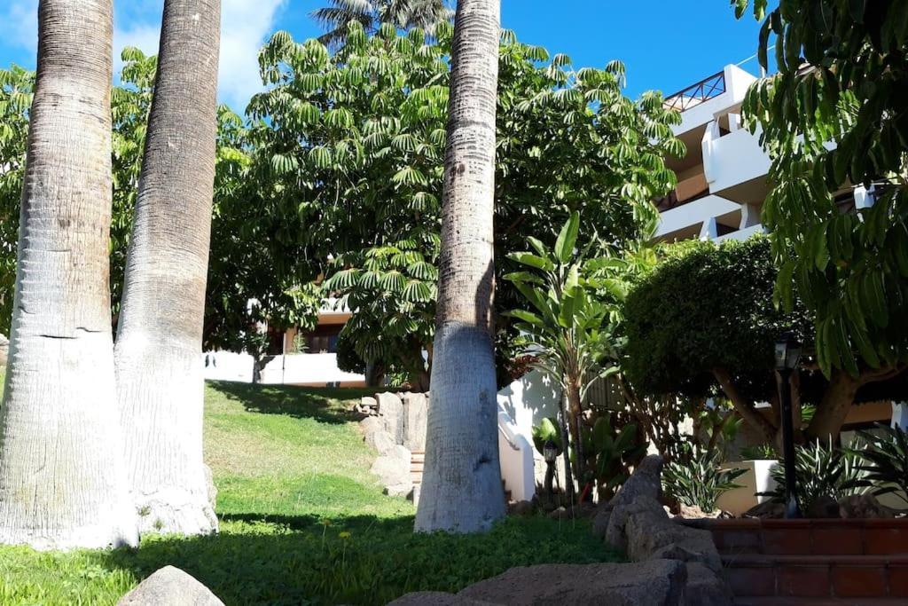 Apartment With Pool And Gardens Near The Coast San Miguel de Abona Zewnętrze zdjęcie